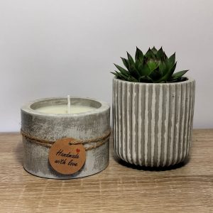 Plant Candle Set